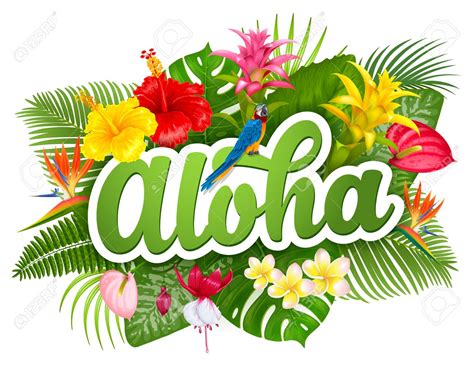 free por aloha